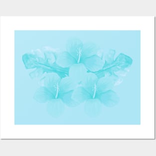 Tropical Light Blue Hibiscus Flower Posters and Art